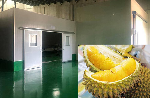 kho lạnh sầu riêng